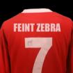 FeintZebra