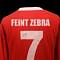 FeintZebra