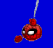 spider-neil