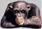 Gizo